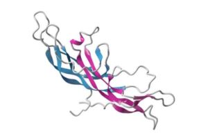 HCG in Female Fertility